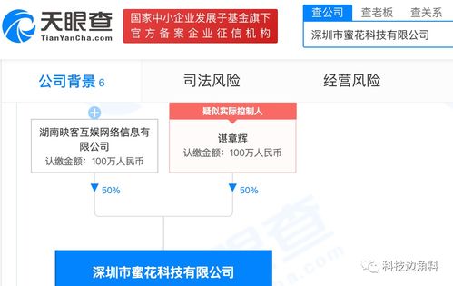 映客布局技術領域，成立深圳蜜花科技公司持股50%提供信息系統集成服務